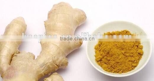 100% Natural Yellow Ginger Powder