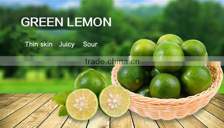 green lemon for sale