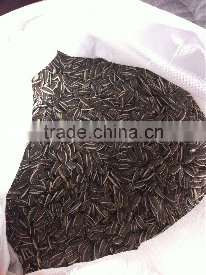 china new crop sunflower seed for export