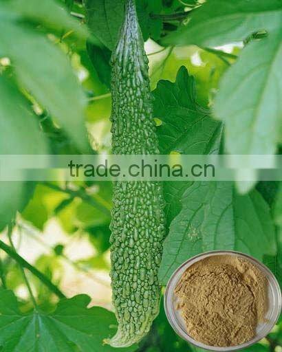 GMP Manufacturer Supply 100% Natural Bitter Melon Extract