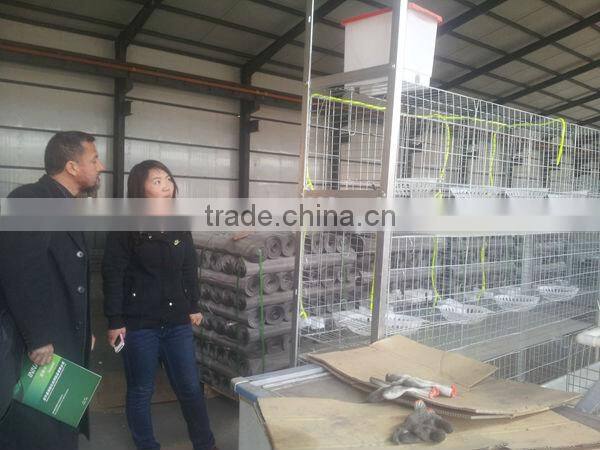 Pigeons Cages 3 tier ISO 9001