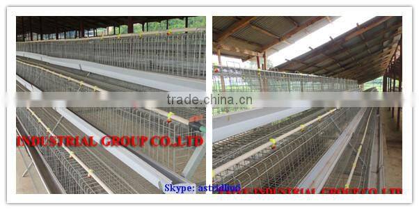 TAIYU Egg Cage for Egg Laying Chicken Poultry Farm