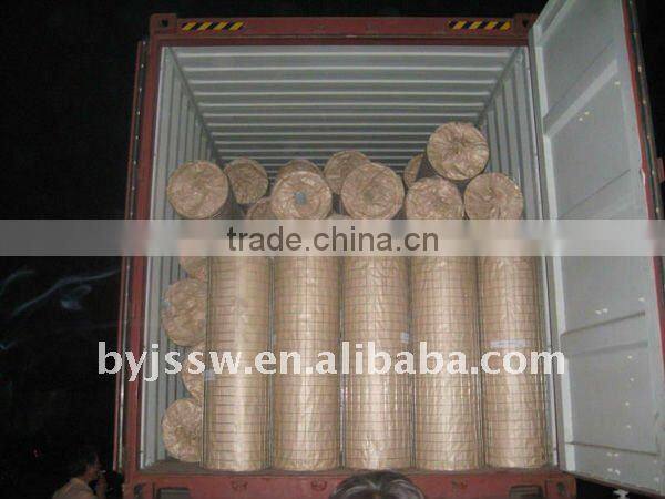 Galvanized Welded Wire Mesh