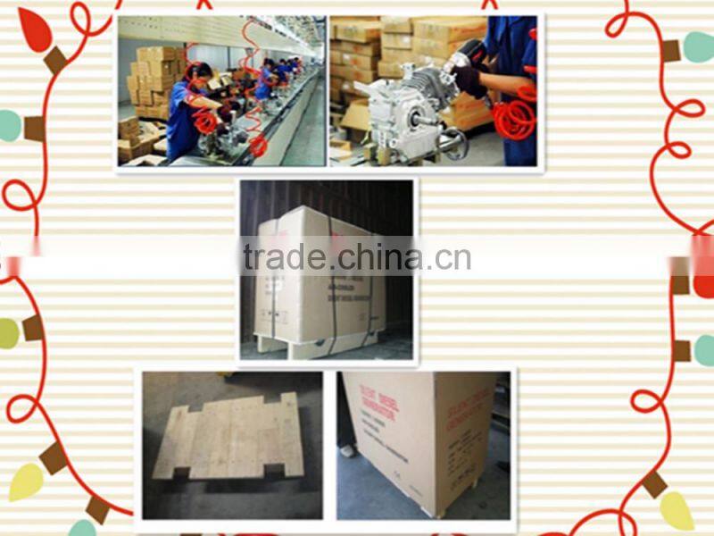 950 series Gasoline generator sets