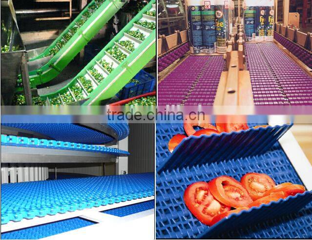 FG900 Plastic Modular Belt