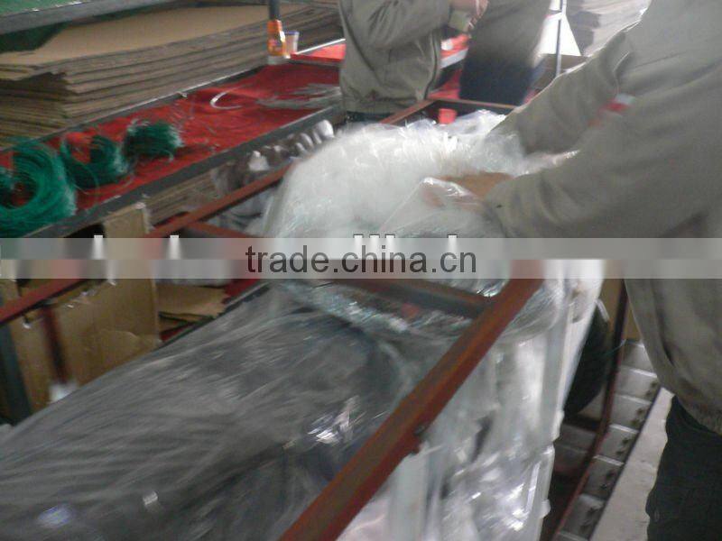 elegant 50cc EEC scooter