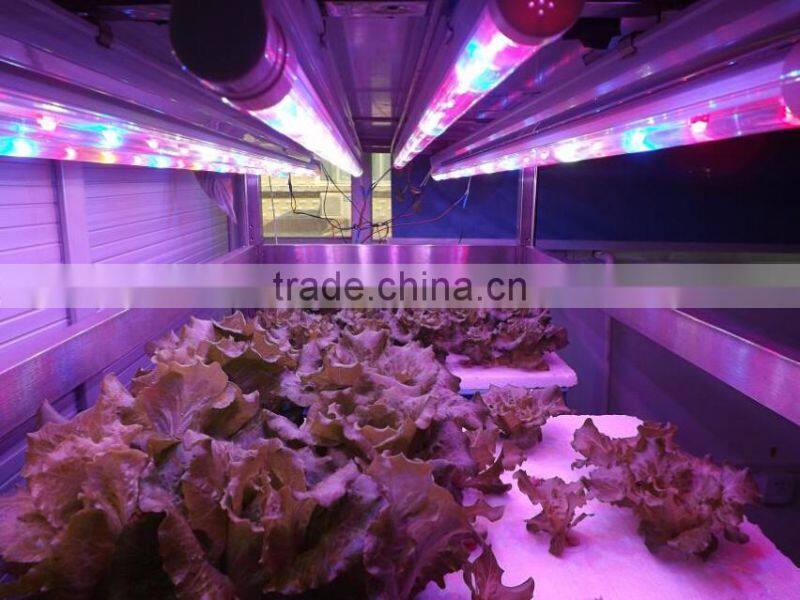 commercial greenhouse grow light wtih AC 85-265V,T8 4 feet grow tube lamp,Red/blue/White led plant light