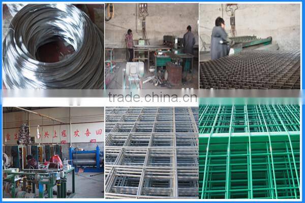 High Purity 20Mesh Tungsten Wire Screen Mesh