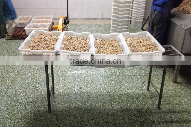 frozen boiled surf clam meat with delivery faster