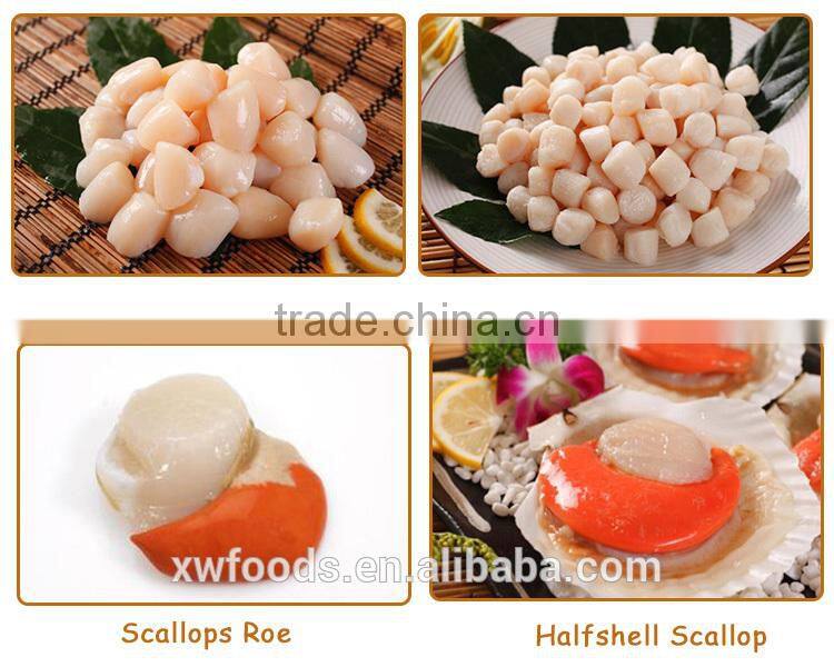 seafood IQF pinna pectinate