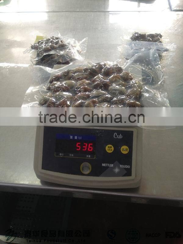 Frozen scallop high quality pen scallop for sale