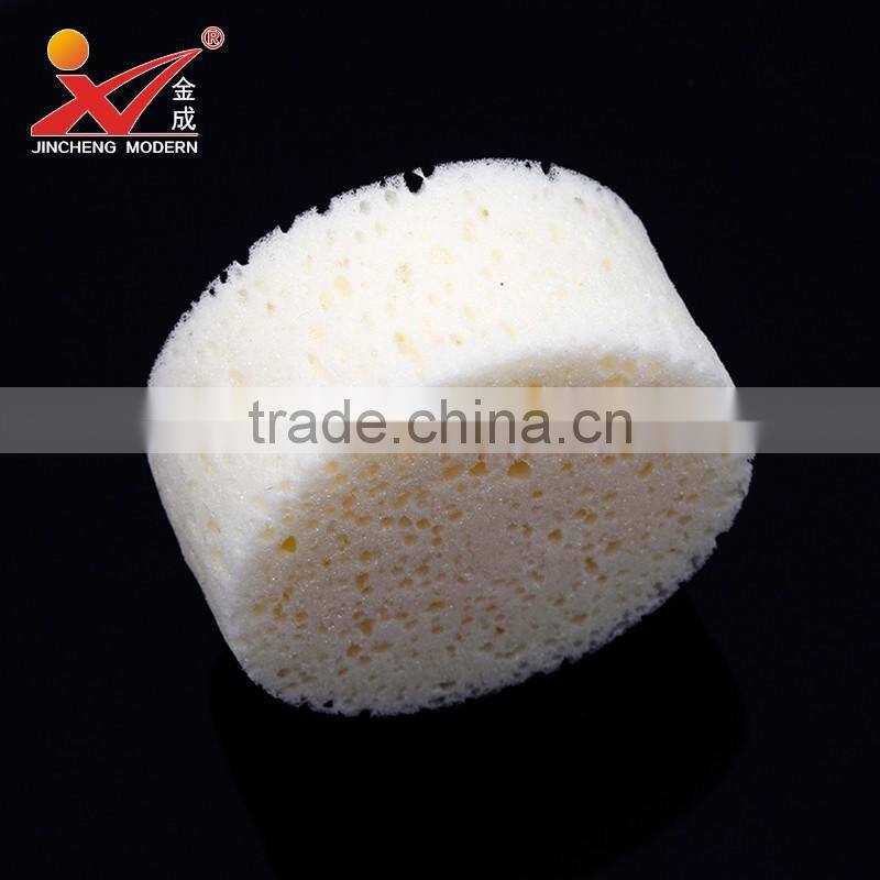 CDZ01-Cylinder Shape Clearning sponge