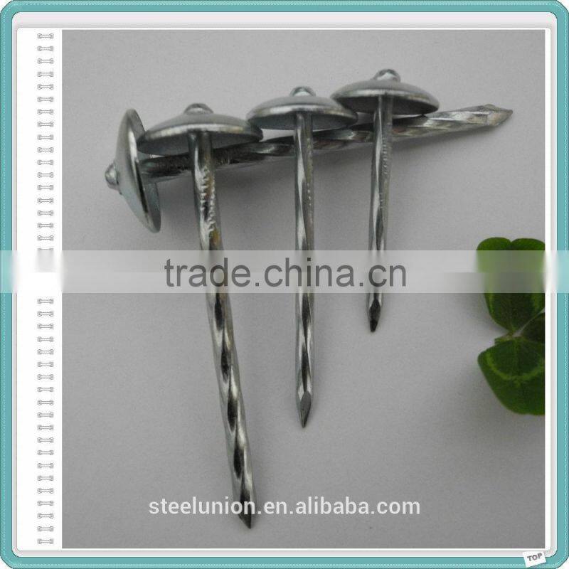 BWG9X2.5" Umbrella Head Roofing Nail Factory