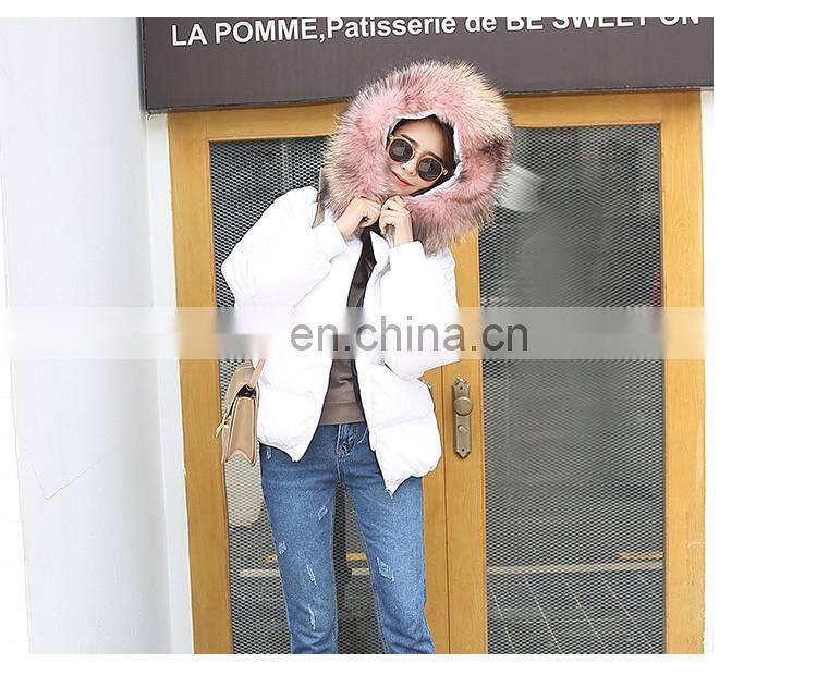 2017 Hot Selling New Design Women Real Big Raccoon Fur Collar New Down Coat