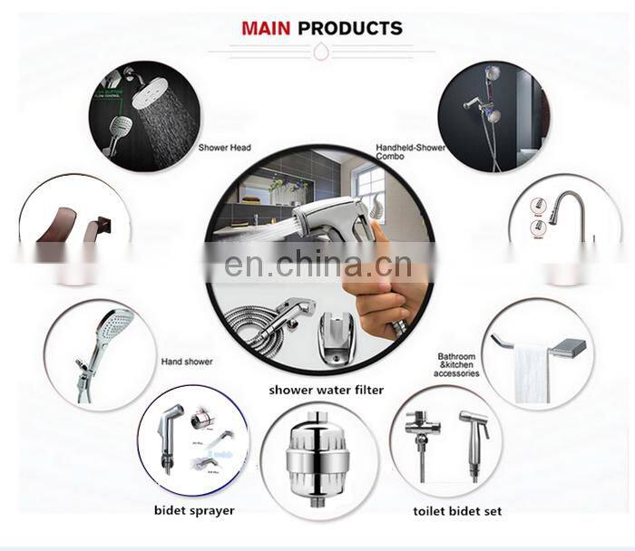 China new ABS dolphin type Multifunction hand shower head set
