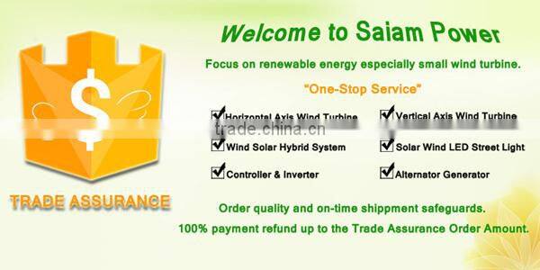 Chinese 3000w max 4800w dc motor wind turbine