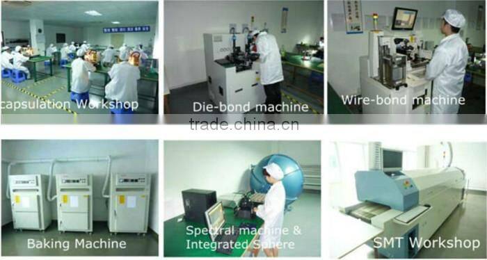 Flexible color changing led neon rope light