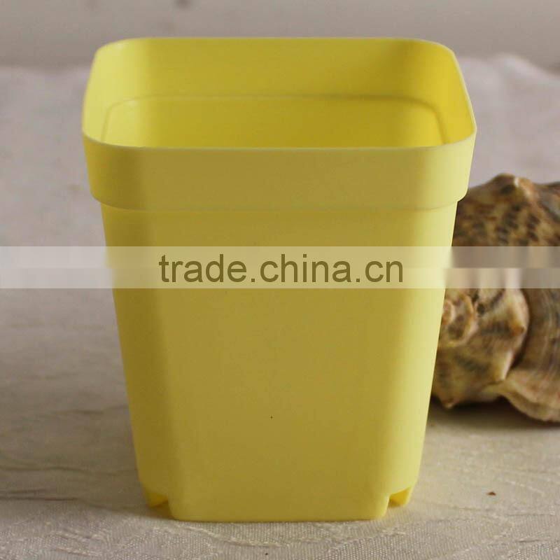 decorative flower pots indoor