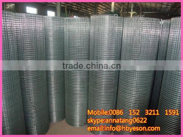 1" hot dip galvanized iron wire mesh fence
