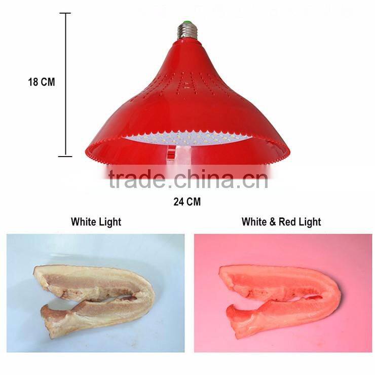 Hot Selling Energy Saving Eco-friendly Manufacturer in China 24W Modern LED Pendant Fresh Light