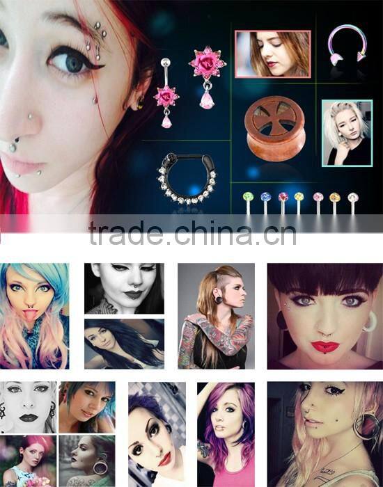 2016 Ear Gauges Expander Stretching Kits Tunnel Plug In Stainless Steel