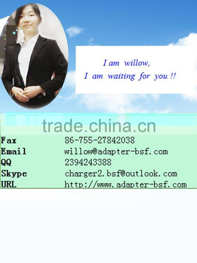 5V1.5A BSF router charger