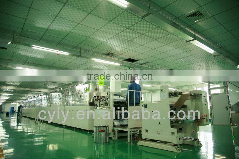 lifepo4 prismatic battery cell