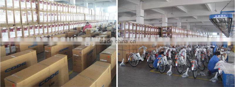 mountain bike electric folding bike XY-EB005F