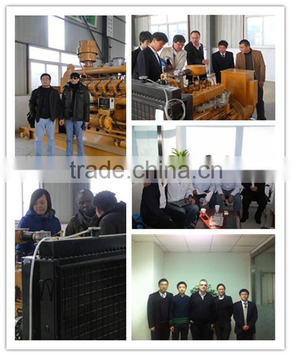 CE certified 10kw - 1mw coal methane gas /shale gas generator set