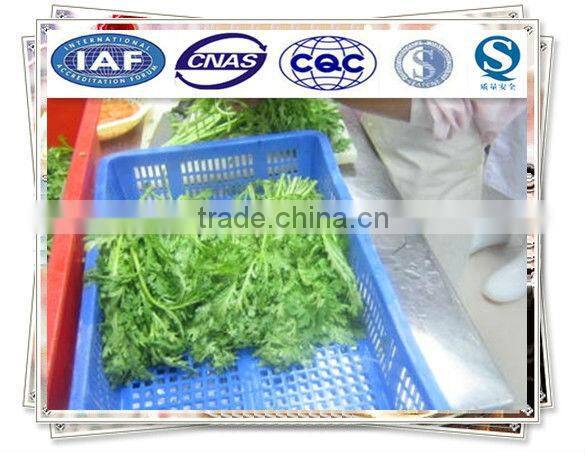 Frozen fried vegetable cake