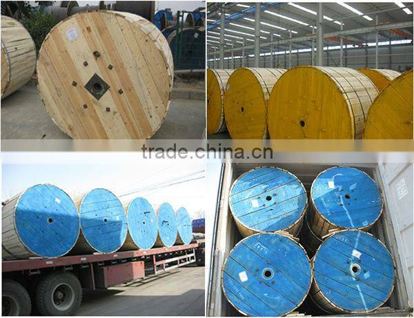 Direct Factory Supply Copper Core PVC Insulated Aerial Concentric Cable
