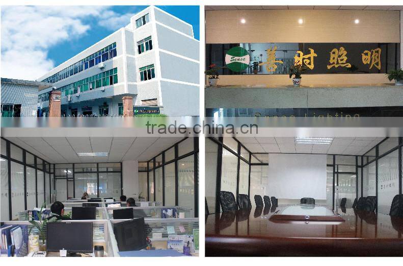 Outdoor SAA 40W LED Wall Pack Light