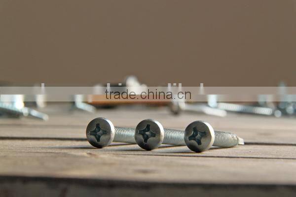 Pan Head Self Drilling Screw Series phillips recess