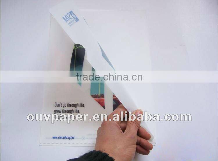 Colourful transparent L folder