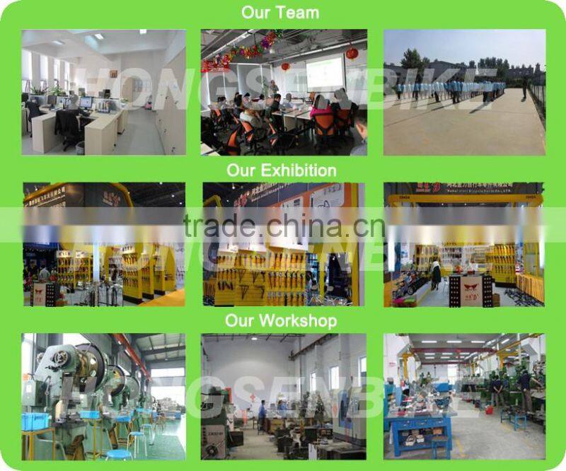 Hot sale New Style Hands Free Bike Dog Leash,Running Hands Free Dog Leash/dog running leashGreat for Walking,