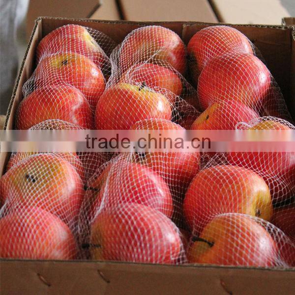 Decorative Fruits Artificial Christmas pumpkin