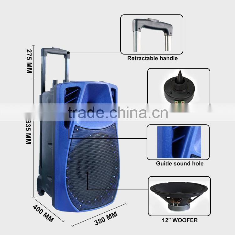 Factory Wholesale 12" Bluetooth Speaker With Standard Function