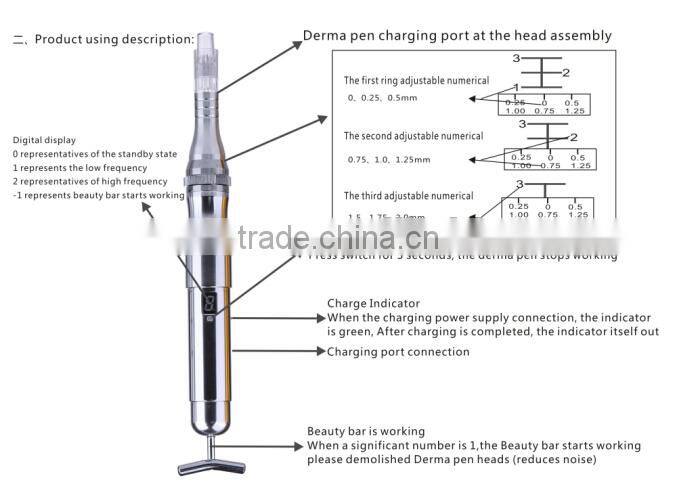 Newest ZGTS derma pen/ Rechargeable derma pen with 12 needles and nano needles