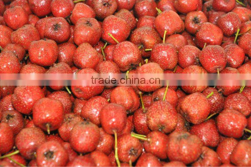 Freeze Dried Pitted Hawthorn Berry Slice Healthy Berry Snacks