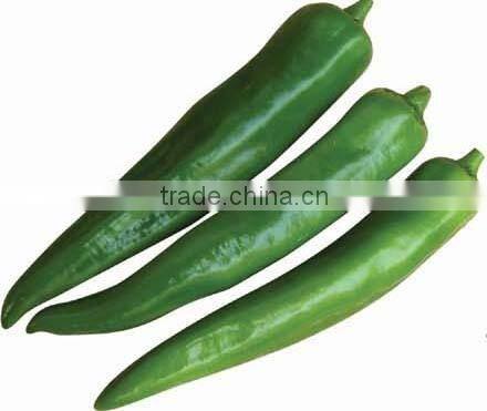 Hybrid Green Hot Horn pepper seeds for growing-PS007B