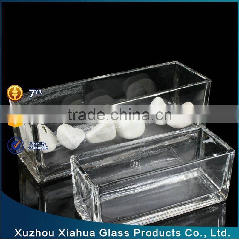 rectangle glass terrarium