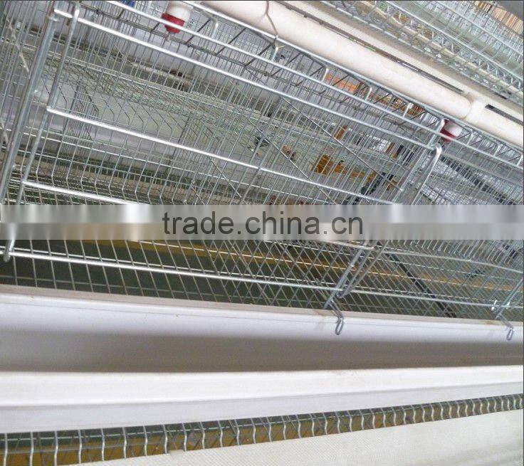 Jinfeng Poultry Drinkers For Chicken Nipple Drinking System