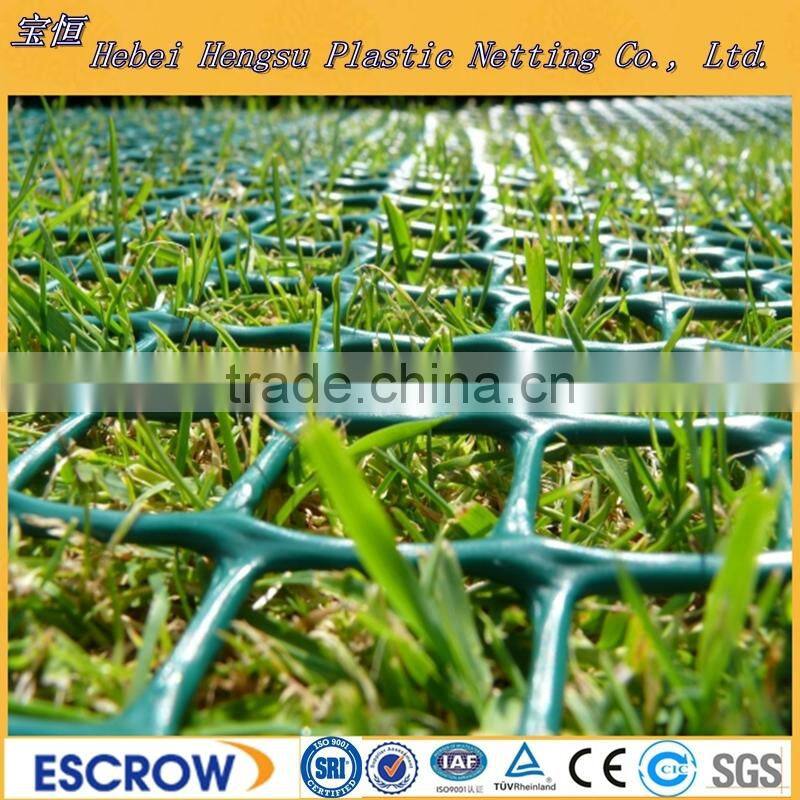 HDPE /PP plastic flat netting
