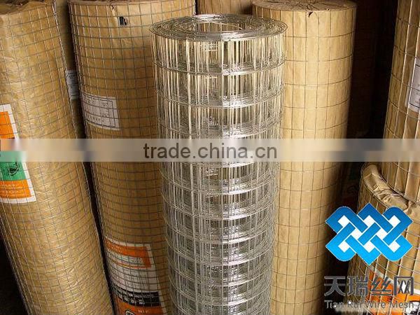 Anping welded wire mesh (Hot sale)