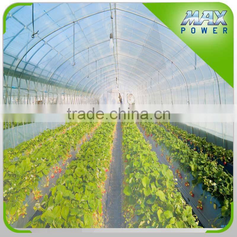 New Arrival plastic film greenhouse agriculture