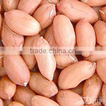 hot sale peanut sheller machine with high efficience