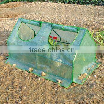 Transparent walk in garden used greenhouses for vegetables