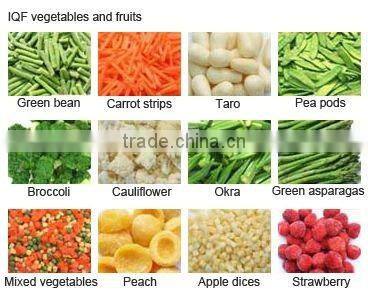 SP-I Vegetable & Fruits Processing Line for Quick Freezing