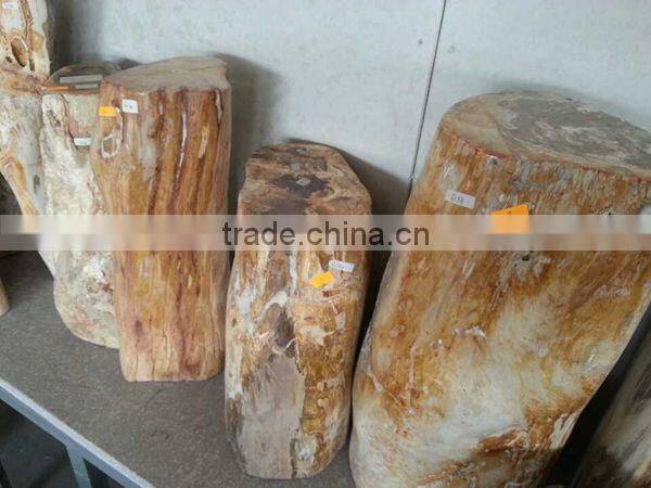 Petrified wood,high value luxary natural stone for collection