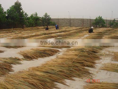 Short handle flower broom wholesale